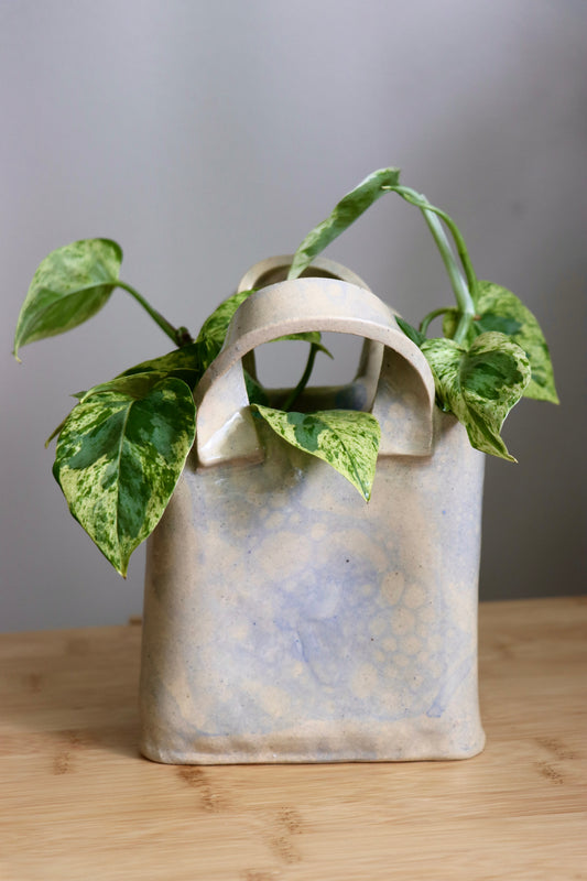 Bag vase